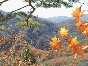 药流药联系方式“奔县游”火热，激发县域经济新动能